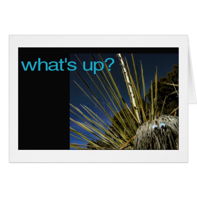 qu'est-ce qui se passe ? (Devant Horizontal)