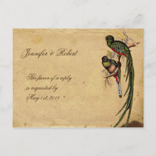  Quetzal Bird Elegant RSVP Briefkaart