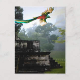 Quetzel in Tikal Briefkaart