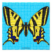 Queue à l'aigle - Impression photo (Devant)