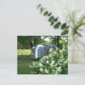 Queue de baleine et Hydrangea Tin Can carte postal (Debout devant)