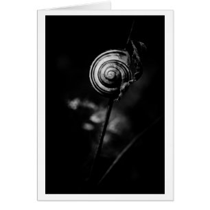 queue de l'escargot
