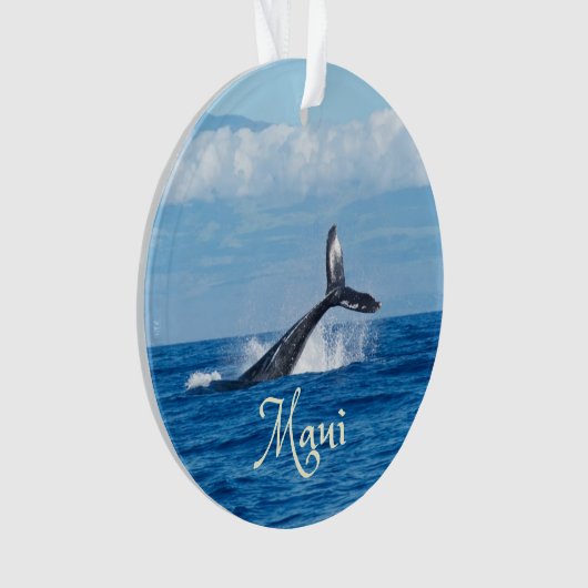 Queue de Maui Hawaii (devant)