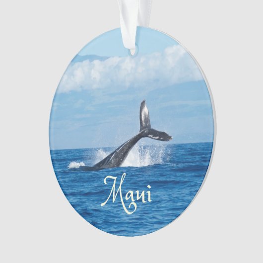 Queue de Maui Hawaii (devant)