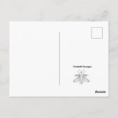 Queue d'hirondelle - Carte postale (Dos)