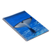 Queue d'un carnet de baleine (Côté Droit)