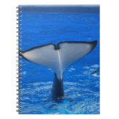 Queue d'un carnet de baleine (Devant)