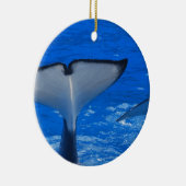 Queue d'un ornement de baleine (Droite)