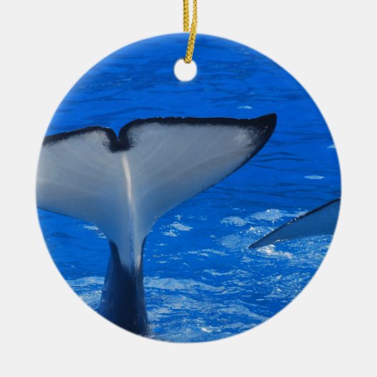 Queue d'un ornement de baleine (Devant)