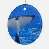 Queue d'un ornement de baleine (Gauche)