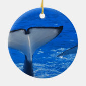 Queue d'un ornement de baleine (Dos)