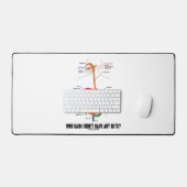 Qui a dit que je n'avais pas de cran ? Système dig (Clavier et souris)