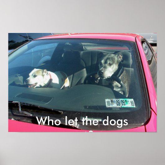 Qui a laissé les chiens sortir ? Affiche (Devant)