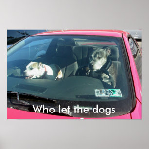 Qui a laissé sortir les chiens ? Affiche