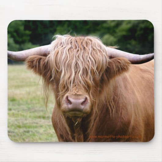 Qui a tourné le tapis de souris de lumières (Devant)