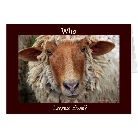 Qui Aime Ewe ? Je laine faire : Saint-Valentin/Ann (Devant horizontal)