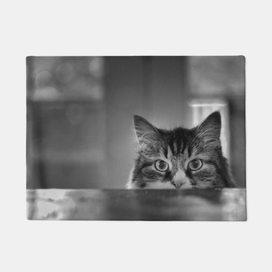 Qui Meows là tapis de porte (Devant)