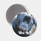 Qui Moi ? Magnet (Recto/Verso)