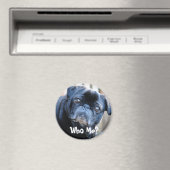 Qui Moi ? Magnet (In Situ (Lave-vaisselle))