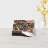 Qui Va Là Penser À Ta Carte (Fleur jaune)