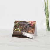 Qui Va Là Penser À Ta Carte (Devant)