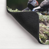 Qui veut gazouiller le tapis de souris (Coin)