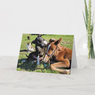 QUI VEUX-JE VOIR POUR LA CARTE DE VACANCES "NOËL"