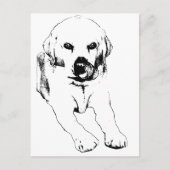 Quick hello from a Lab Briefkaart (Voorkant)