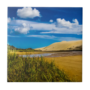 Quicksand stream vlakbij 90-Mile Beach, Nieuw-Zeel Tegeltje