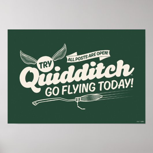 QUIDDITCH™ Recruitment Poster (Voorkant)