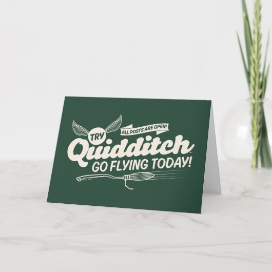 QUIDDITCH™ Recruitment Poster Kaart (Voorkant)