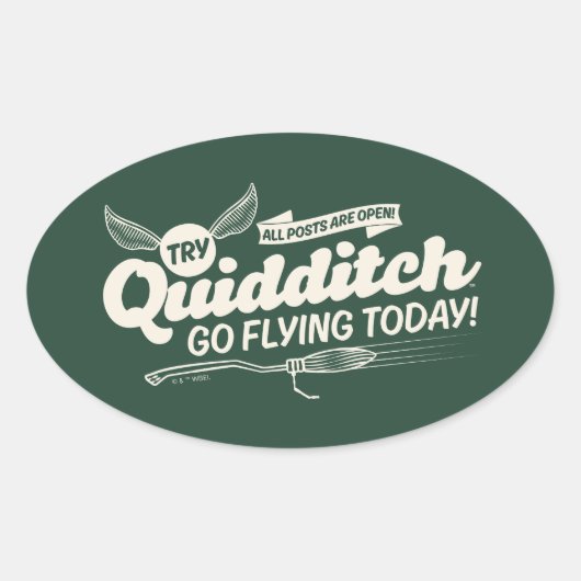QUIDDITCH™ Wervingsbord Ovale Sticker (Voorkant)