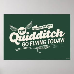 QUIDDITCH™ Wervingsbord Poster