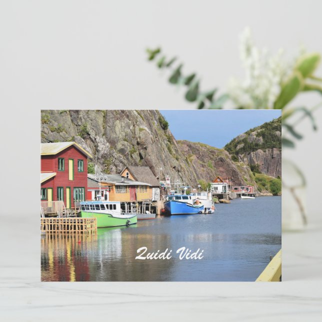 Quidi Vidi, Newfoundland (Staand voorkant)