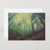 Quiet Forest Briefkaart (Voorkant / Achterkant)