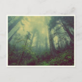 Quiet Forest Briefkaart (Voorkant)