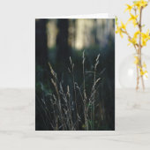 Quiet Forest, Sympathy Kaart (Gele Bloem)