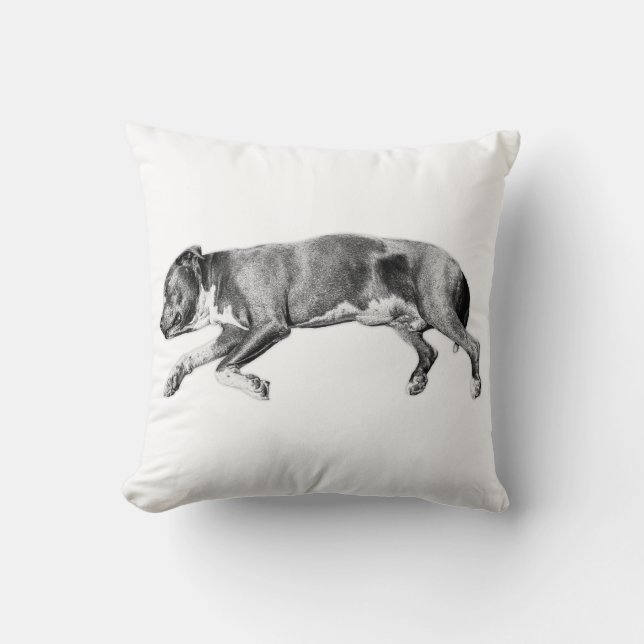Quiet Grace – Slumbering Hound Portrait Kussen (Voorkant)