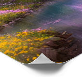 Quiet River bewonderd door Sakura-bomen Poster (Hoek)