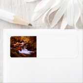 Quiet Stream Etiket (Insitu)