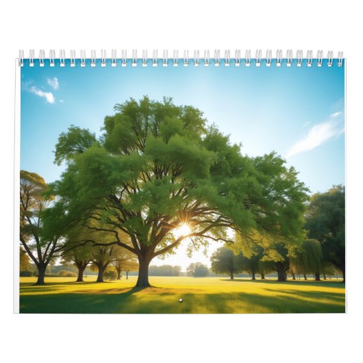 Quiet Time With a Big Tree Kalender (Hoes)