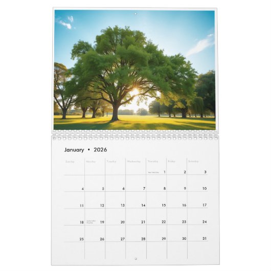 Quiet Time With a Big Tree Kalender (Jan 2026)