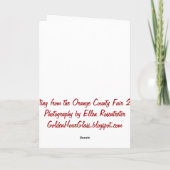 Quilters zijn gekke vogels kaart (Achterkant)