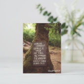 Quinault Rainforest Briefkaart (Staand voorkant)