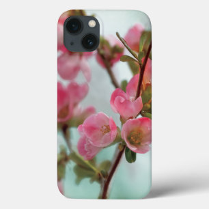 Quince Blossom iPhone 13 Hoesje
