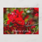 Quince Branch die je Briefkaart op een interactiev (Voorkant)