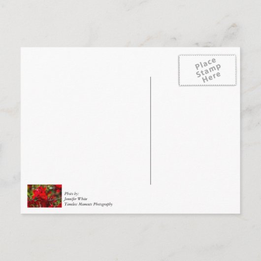 Quince Branch Painterly Dank u Briefkaart (Achterkant)