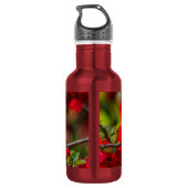 Quince Branch Painterly Stainless Steel Water Bott Waterfles (Achterkant)