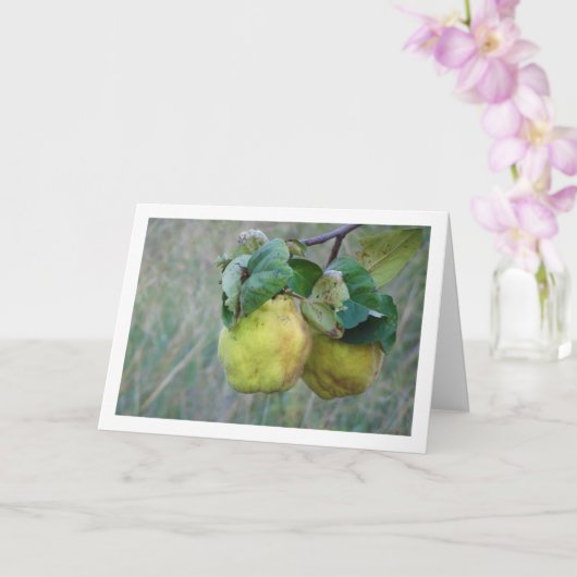 Quince Fruit Card Kaart (Orchidee)