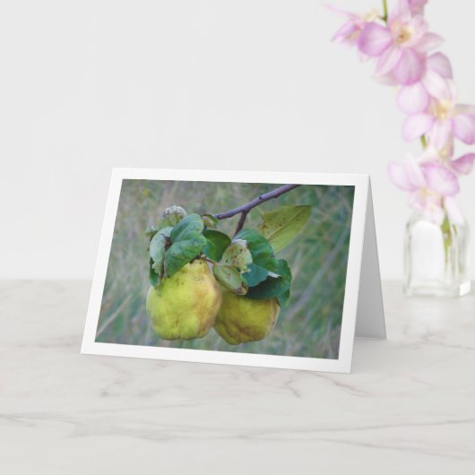 Quince Fruit Kaart (Orchidee)